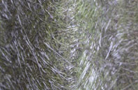 Cherry Burton fibreglass roof work